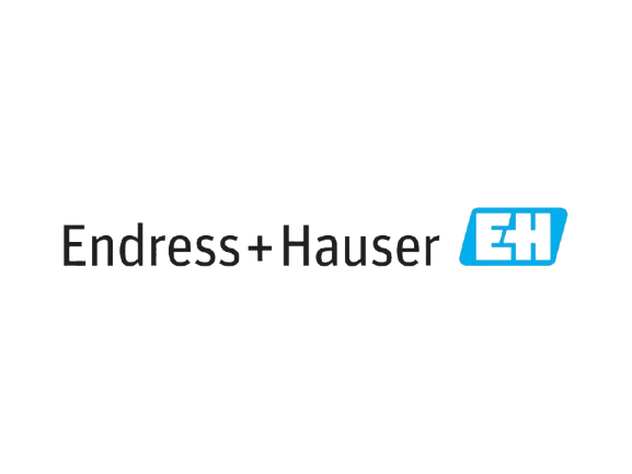 Endress+Hauser
